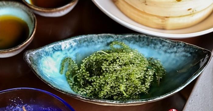 海葡萄