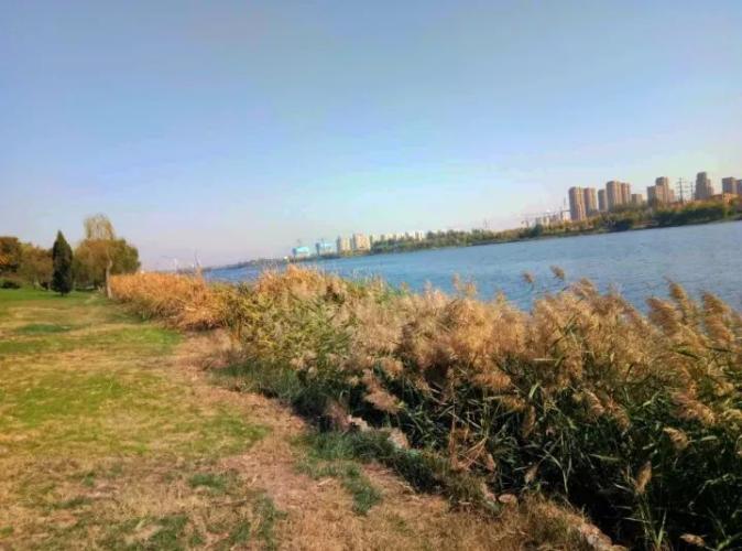 徒駭河綠道