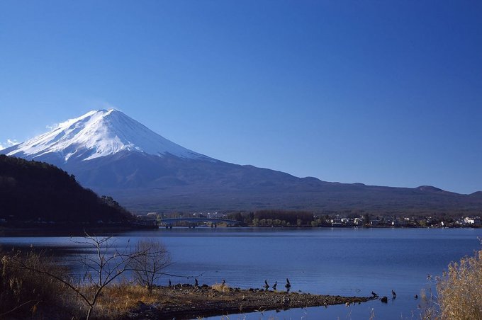 富士山景觀